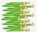 1750406416015.png