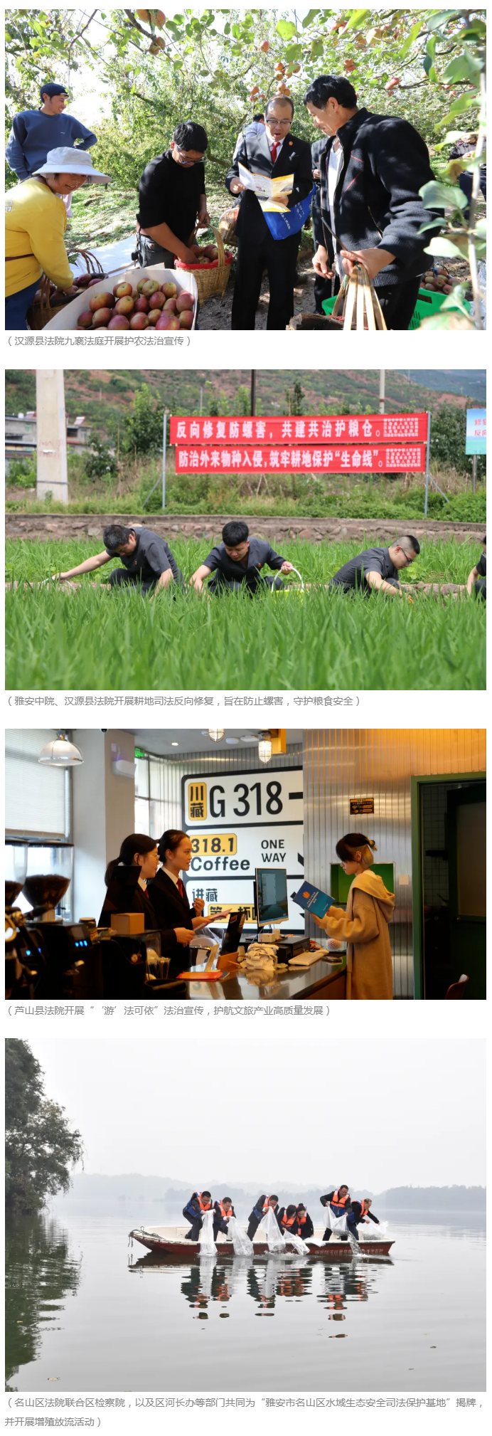 四川法治报_雅安法院法治赋能世界大熊猫文化旅游重要目的地建设“三链融合”护航“熊猫家园”.png